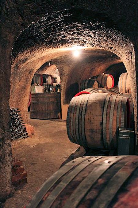 Balaton Wine Cellar